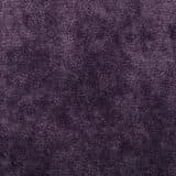 Austin in Purple