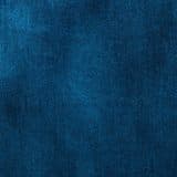Delta Velvet in Blue