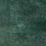 Delta Velvet in Emerald