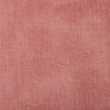 Delta Velvet in Pink